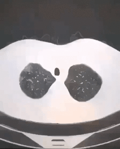 1590570366243559.gif 微信图片_20200527170410.gif