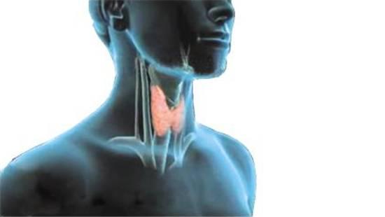 国际甲状腺知识宣传周｜教你看懂体检报告中的各种甲状腺相关数据